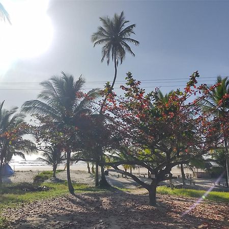 Casa Aroeira Pousada Ilhéus Exteriér fotografie