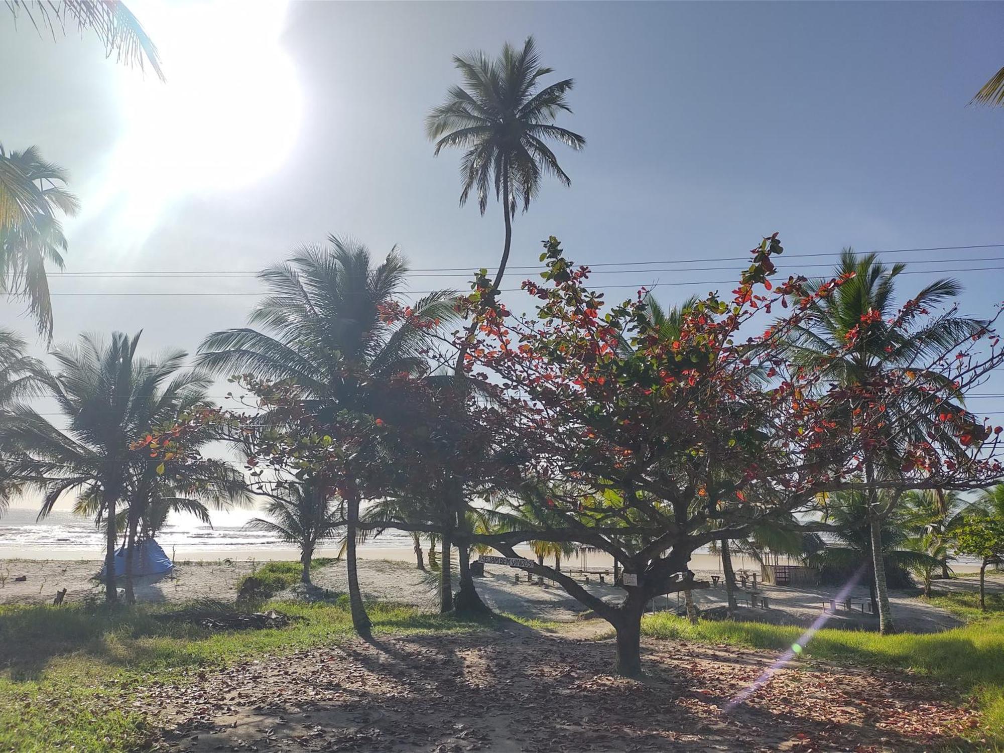 Casa Aroeira Pousada Ilhéus Exteriér fotografie