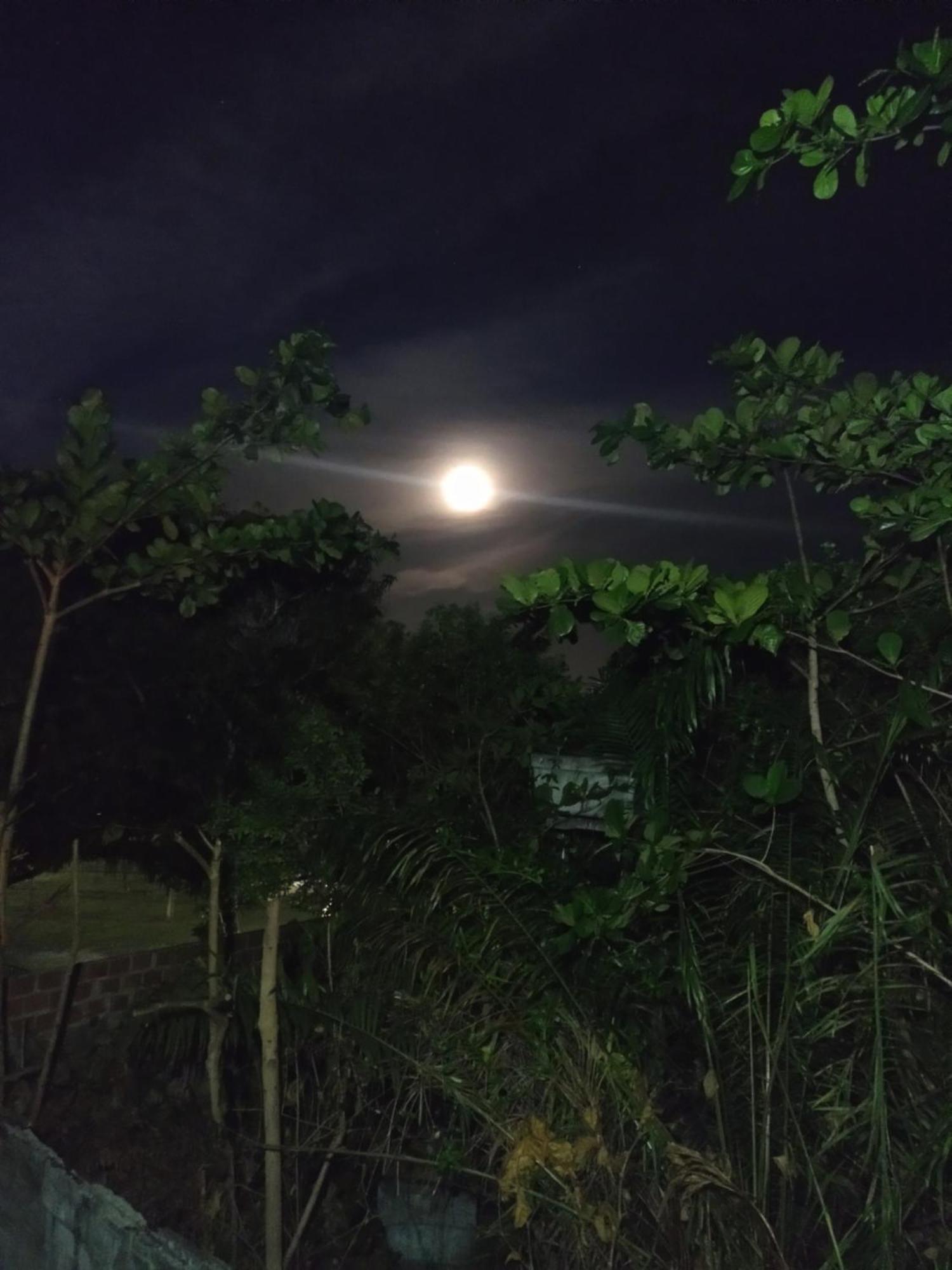 Casa Aroeira Pousada Ilhéus Exteriér fotografie